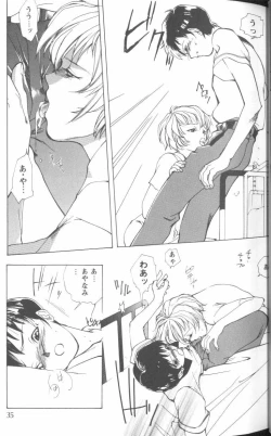 Page 33 of Project E 04