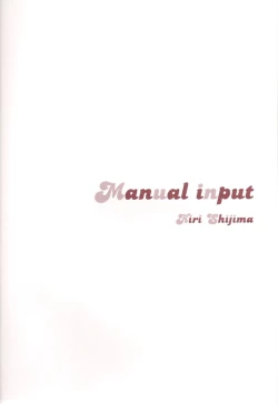 Page 3 of Manual Input