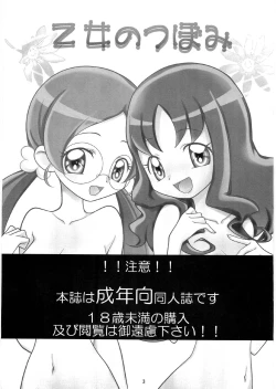 Page 2 of Otome no tsubomi