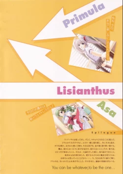 Page 61 of Shuffle! - Visual Fan Book