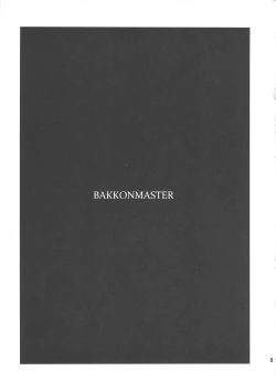 Page 2 of BakkonMaster