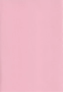 Page 4 of Yume miru Iroha