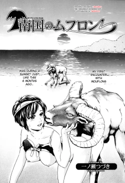 Page 1 of Nangoku no Mouflon | Mouflon of the South