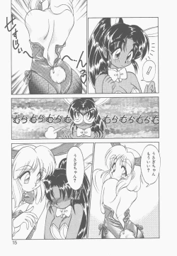 Page 13 of Shinzou Ningen Struggle Bunny 2 - Gekitou Hen