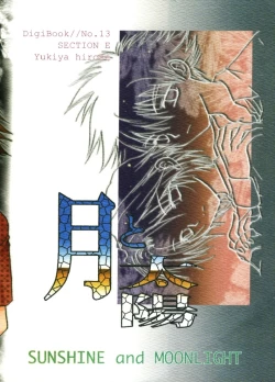 Page 40 of SUNSHINE and MOONLIGHT