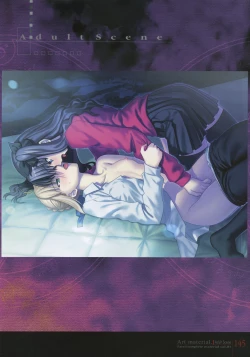 Page 150 of Fate/complete material I - Art material.