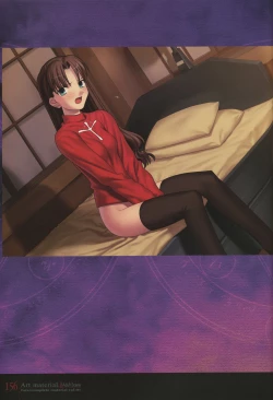 Page 161 of Fate/complete material I - Art material.