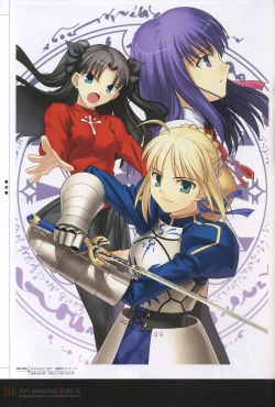 Page 221 of Fate/complete material I - Art material.