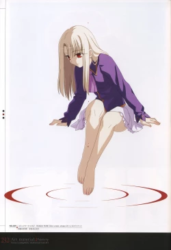 Page 237 of Fate/complete material I - Art material.