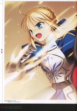Page 253 of Fate/complete material I - Art material.