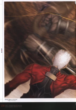 Page 255 of Fate/complete material I - Art material.