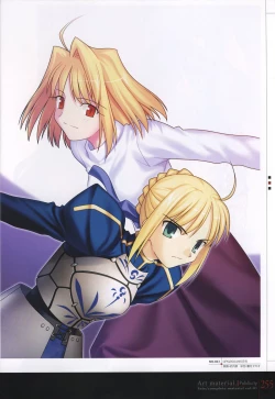 Page 260 of Fate/complete material I - Art material.