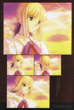 Page 36 of Fate/complete material I - Art material.
