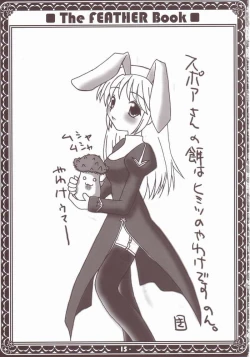 Page 12 of Yawakehon - The FEATHER book