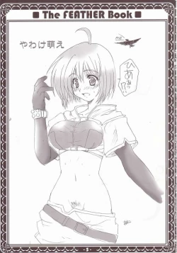 Page 2 of Yawakehon - The FEATHER book