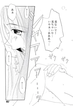 Page 41 of Sakura no Sono