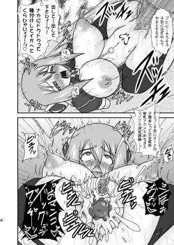 Page 29 of Shield Knight Elsain Vol.9 "SLAVE COLOSSEUM"