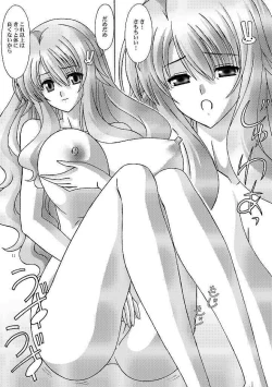 Page 11 of Himeji Mizuki ga Issho