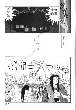 Page 27 of Midgard 4