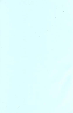 Page 6 of Flamingo R Vol. 03