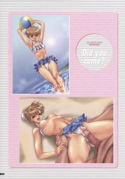 Page 102 of NAS-O illustration works