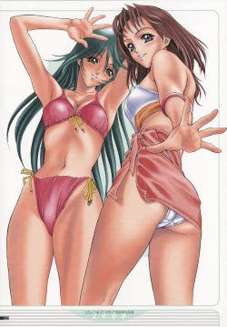 Page 43 of NAS-O illustration works