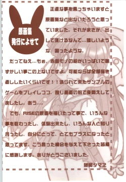 Page 108 of RISE Capture & Materials