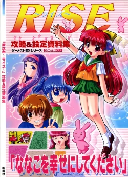 Page 1 of RISE Capture & Materials