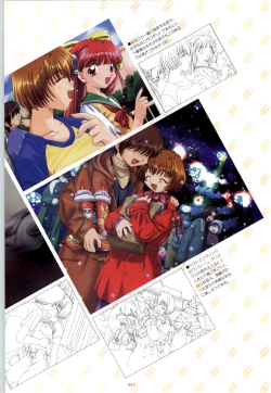 Page 46 of RISE Capture & Materials