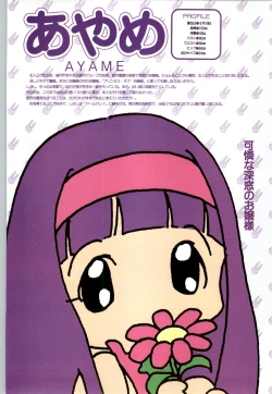 Page 51 of RISE Capture & Materials