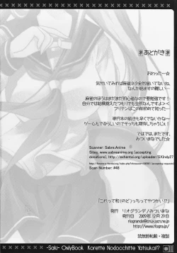 Page 17 of Korette Nodocchitte Yatsukai!?