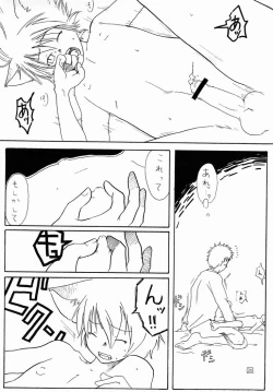 Page 19 of Fifth- Neko Shounen Hon