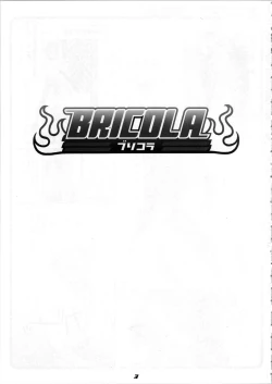 Page 3 of BRICOLA