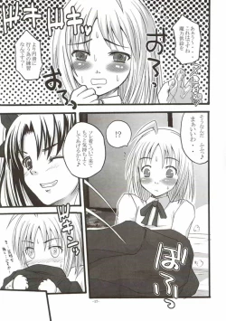 Page 16 of SukiSuki Saber Vol. 2