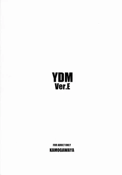 Page 22 of YDM Ver.E