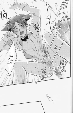 Page 19 of STAMP Vol.8