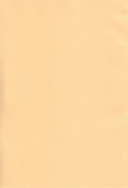 Page 3 of Chicken Maid Party