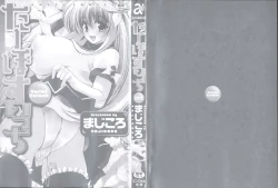 Page 4 of Turbo Switch