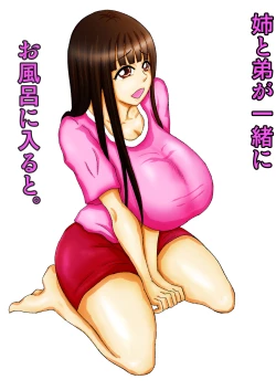 Page 1 of Ane to Otouto ga Issho ni Ofuro ni Hairu to.