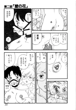 Page 38 of Body Shop