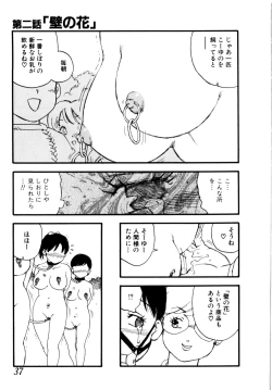 Page 40 of Body Shop