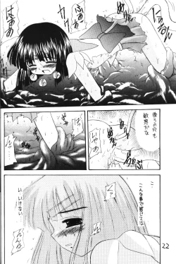 Page 21 of Hotaru VI