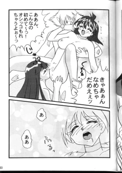 Page 33 of Slayers Adult 6