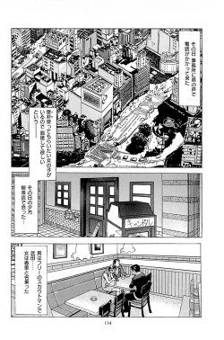 Page 116 of Fuuzoku Tenchou Monogatari Vol.02