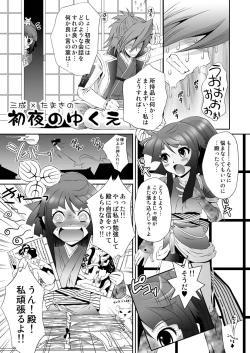 Page 3 of Mitsunari x Tamaki no Shoya no Yukue