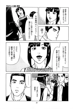 Page 25 of Fuuzoku Tenchou Monogatari Vol.05