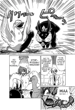 Page 13 of Toria~ezu FF4