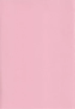 Page 3 of Yume miru Iroha