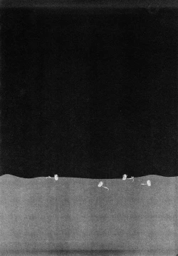 Page 43 of Tanpopo no Matsuri | Dandelion Festival Ch.01-03