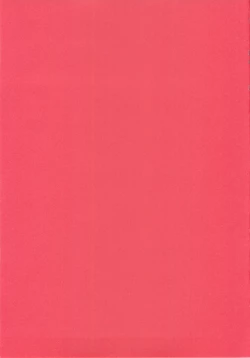 Page 19 of Tsuya Miko☆Reimu-san